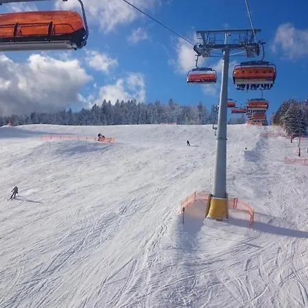 Male Alpy & - Z Basenem Krynica-zdroj 3*