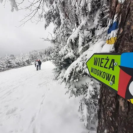 Male Alpy & - Z Basenem Krynica-zdroj فندق مبيت وإفطار