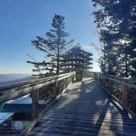 Male Alpy & - Z Basenem Krynica-zdroj 3*