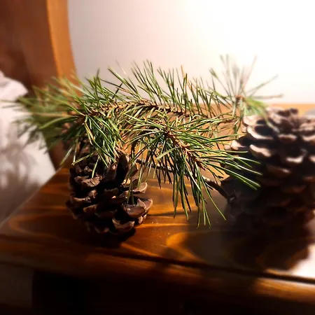 Male Alpy & - Z Basenem Krynica-zdroj