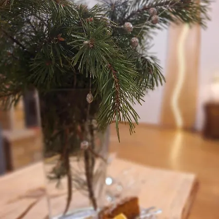 Male Alpy & - Z Basenem Krynica-zdroj فندق مبيت وإفطار