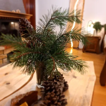 Male Alpy & - Z Basenem Krynica-zdroj 3* クリニツァ・ズドルイ