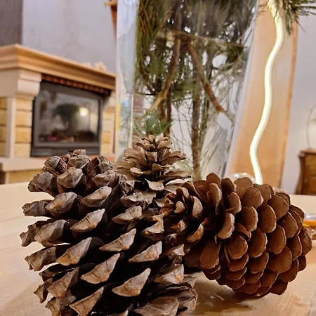 Male Alpy & - Z Basenem Krynica-zdroj 3*