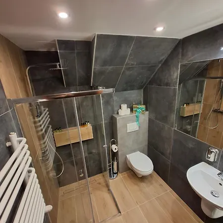 فندق مبيت وإفطار Male Alpy & - Z Basenem Krynica-zdroj 3*