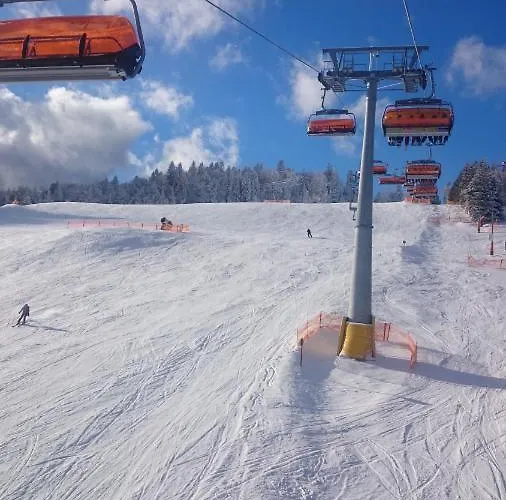 Male Alpy & Spa - Willa Z Basenem Krynica-Zdroj 3*