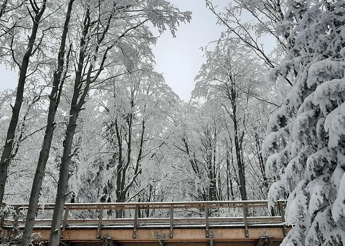 Bed & Breakfast Male Alpy & Spa - Willa Z Basenem Krynica-Zdroj Krynica Zdroj