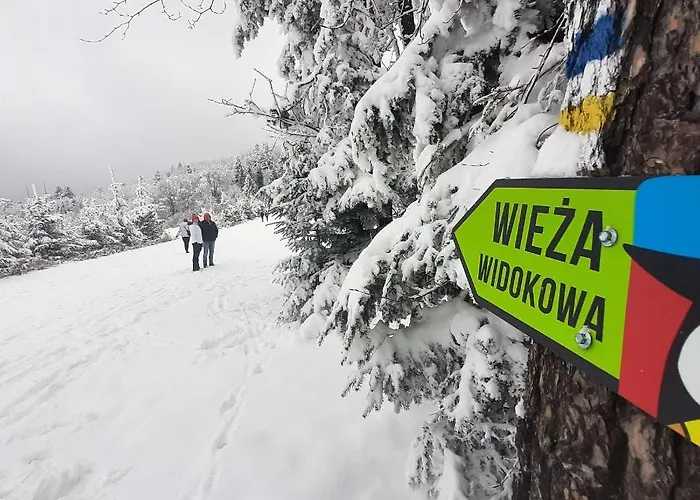 Male Alpy & Spa - Willa Z Basenem Krynica-Zdroj Bed & Breakfast