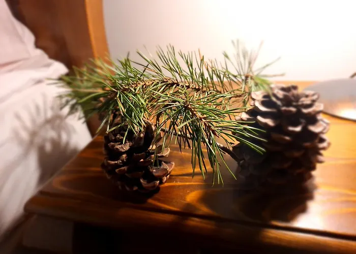 Male Alpy & Spa - Willa Z Basenem Krynica-Zdroj