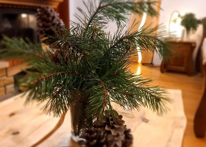 Male Alpy & Spa - Willa Z Basenem Krynica-Zdroj 3* Krynica Zdroj