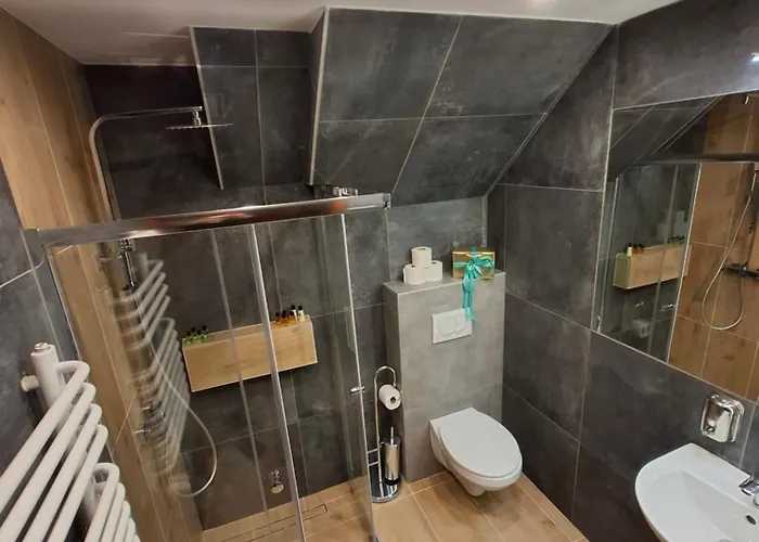 Bed & Breakfast Male Alpy & Spa - Willa Z Basenem Krynica-Zdroj 3*