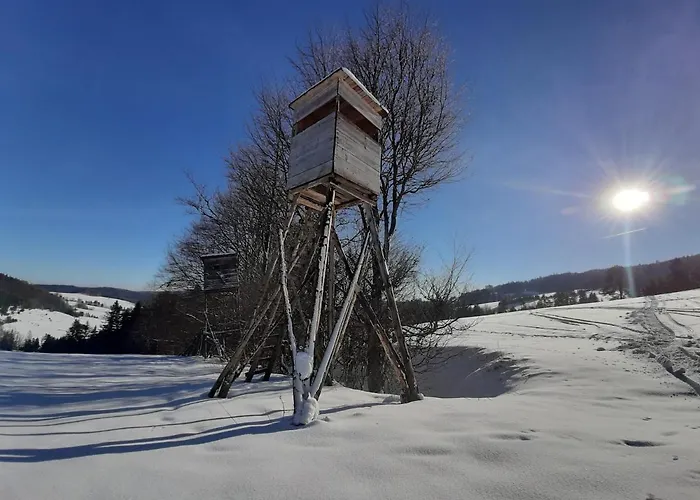 Bed & Breakfast Male Alpy & Spa - Willa Z Basenem Krynica-Zdroj Krynica Zdroj